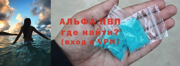 индика Анива