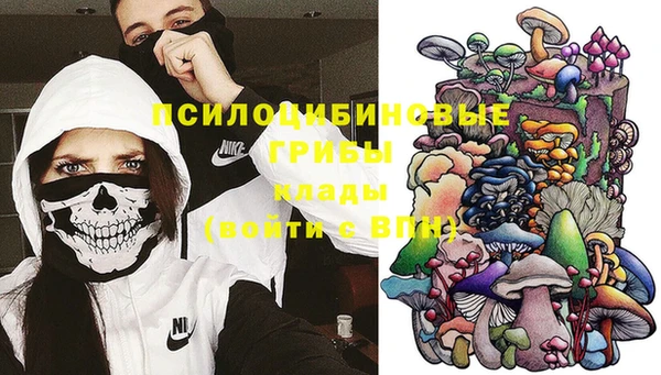 стаф Наволоки
