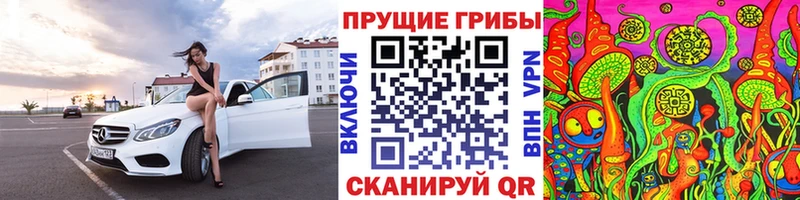 Псилоцибиновые грибы Cubensis  купить закладку  Магнитогорск 